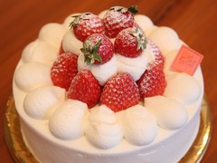 苺ショート 5号