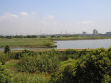 千葉県行徳野鳥観察舎