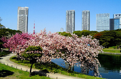 浜離宮恩賜庭園