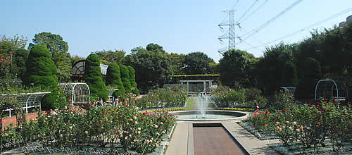 フラワーガーデン