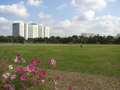 武蔵野中央公園