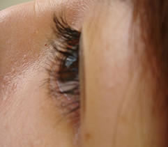 226 eye lash
