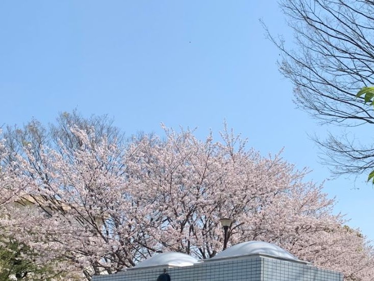 東葛西けやき公園