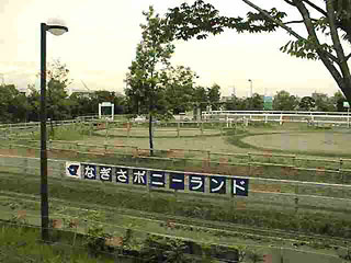 なぎさポニーランド