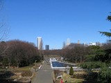 代々木公園