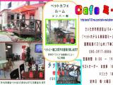 cafe ミー