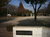 東葛西さくら公園