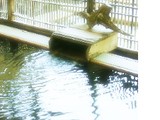 四季の湯