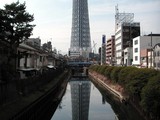 SKY TREE