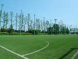 江戸川区臨海球技場