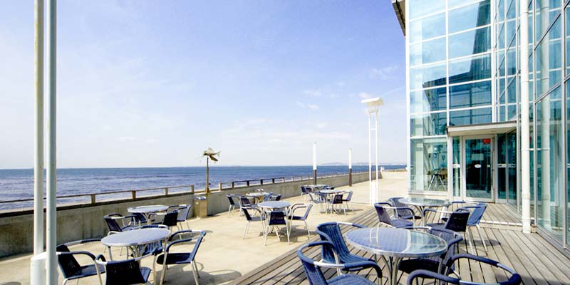 ザ・フィッシュ