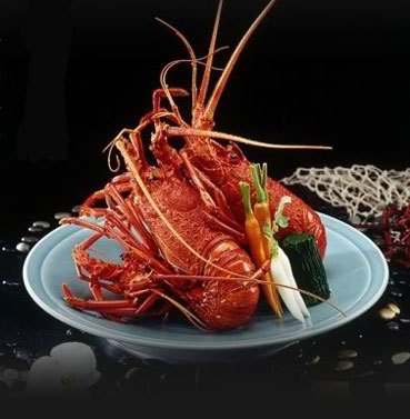 中納言 東京銀座店