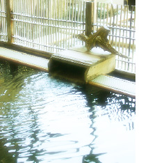 四季の湯