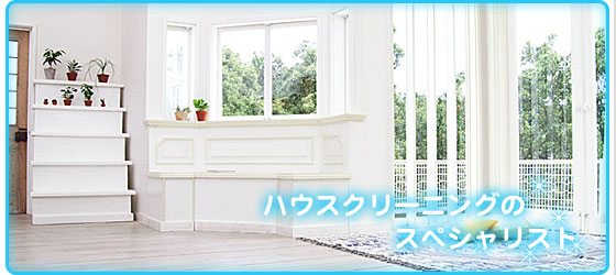 ワールドクリーナー