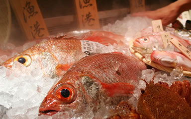 のど黒屋 銀座本店
