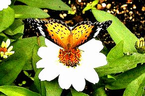 水谷精一・厚子税理士事務所