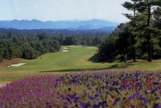 万年池 西コース