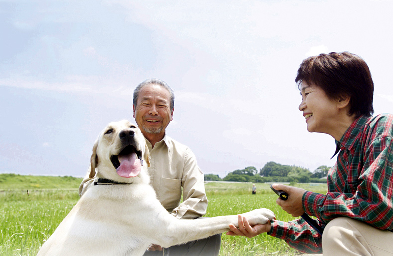 ブライトシニア提案センター