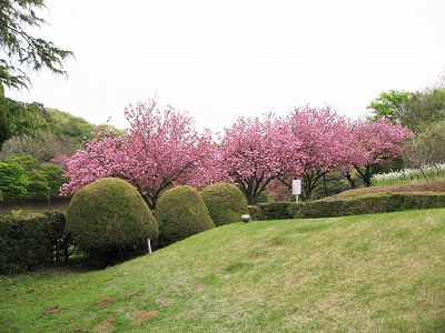 東京国際ゴルフ倶楽部