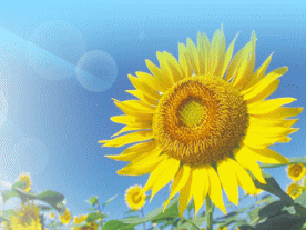 勝村太一行政書士事務所