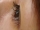 226 eye lash