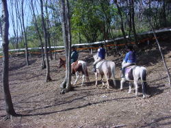 八王子乗馬倶楽部