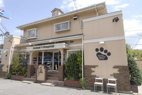 しらい動物病院