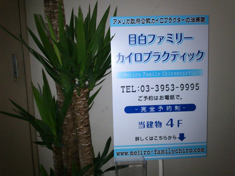 目白ファミリーカイロプラクティック