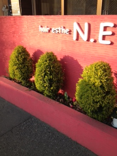 hair esthe N.E