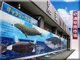 浦安魚市場