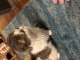 NECOT COFFEE HOUSE