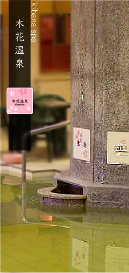 ジェスパ 木花温泉