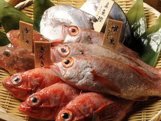 八吉 新宿東口店