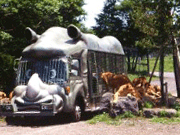 富士サファリパーク